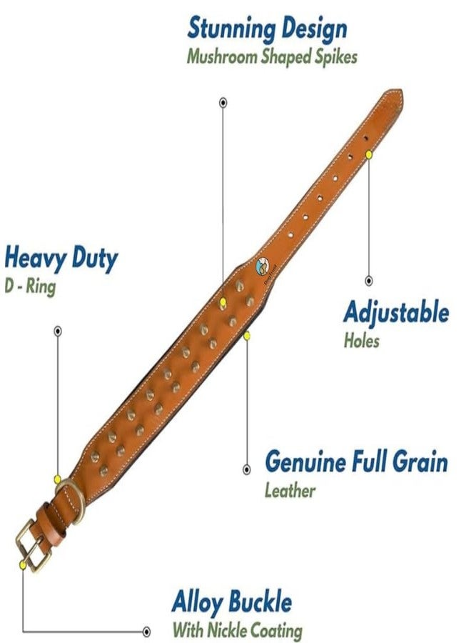 KittuPetSpiked Studded Dog Collar, Big Sharp Spike Dog Collars, Geniune Leather, Neck Protection from Bite, Adjustable, Fit Pitbull Doberman German Shepherd, for Medium Large Dogs - Image 4